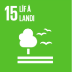 15_Lif_a_landi