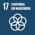 Heimsmarkmid17
